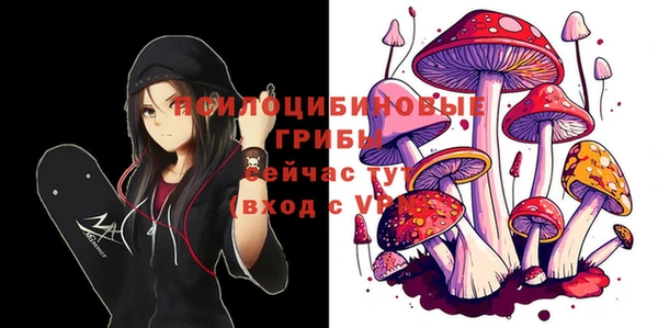 стаф Алексеевка
