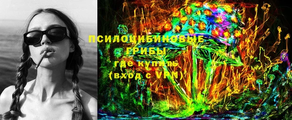 стаф Алексеевка