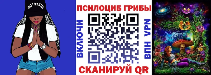 Галлюциногенные грибы Cubensis купить наркоту Мещовск